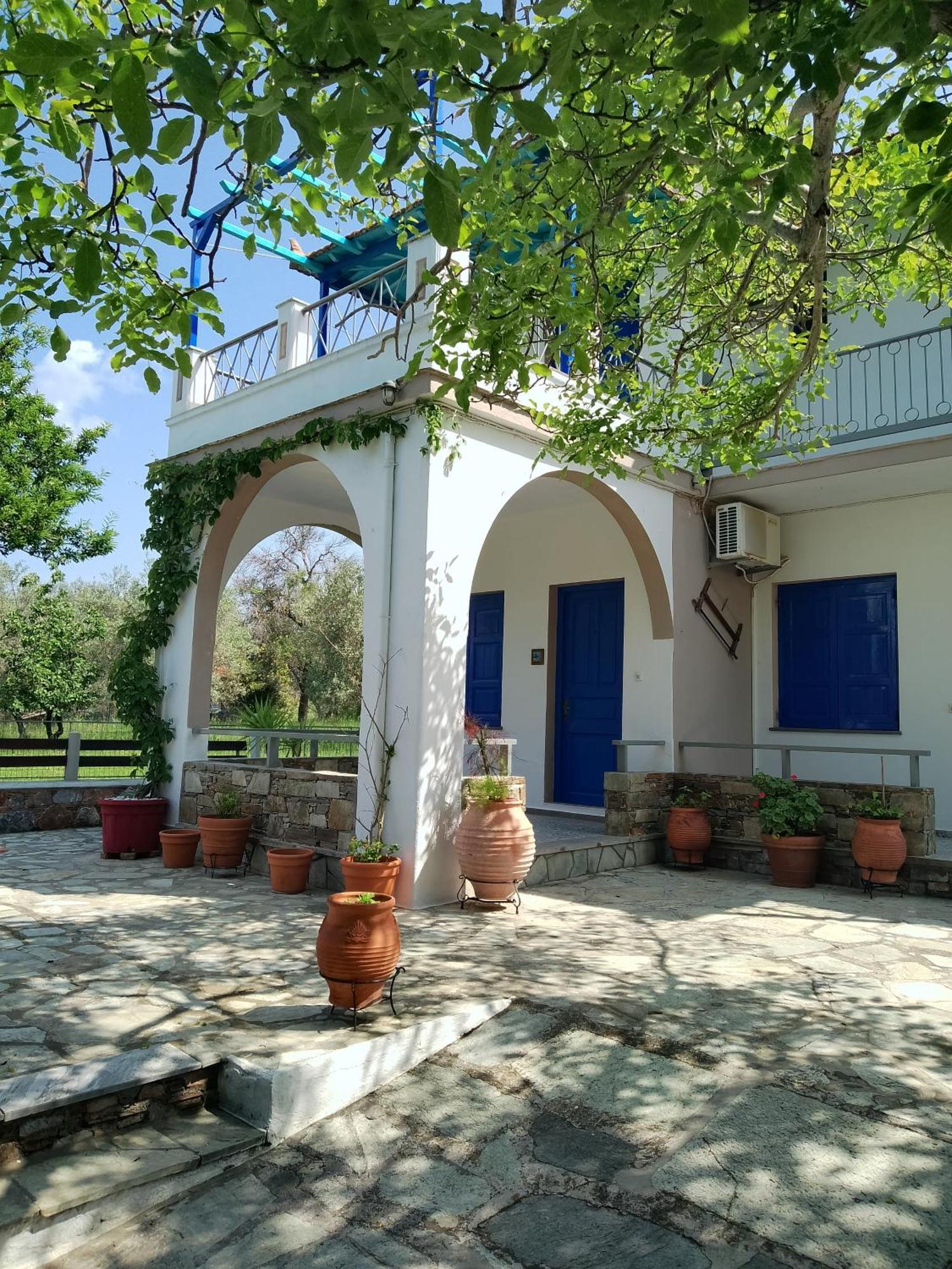 Alexandra Studios