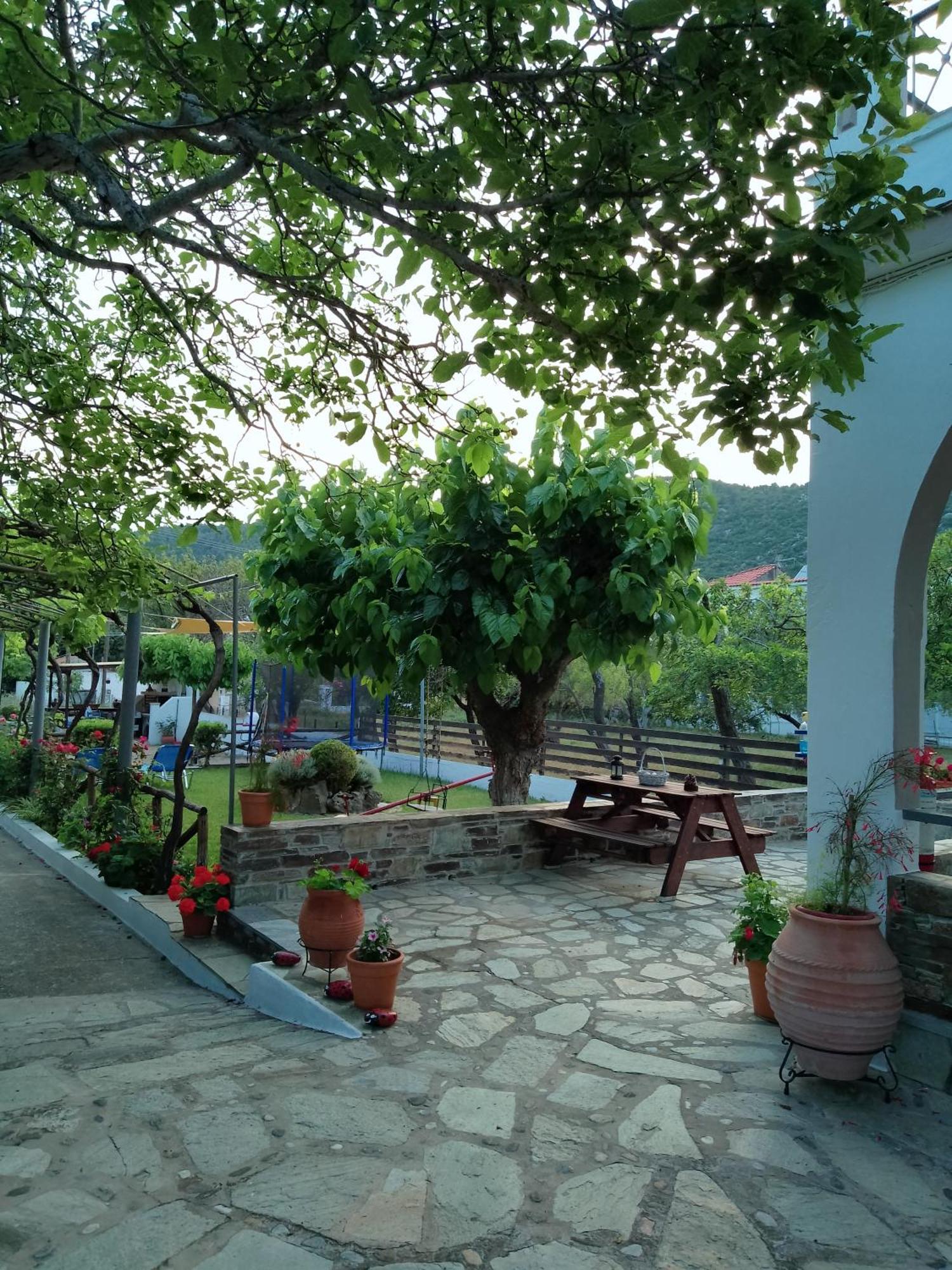 Alexandra Appartement